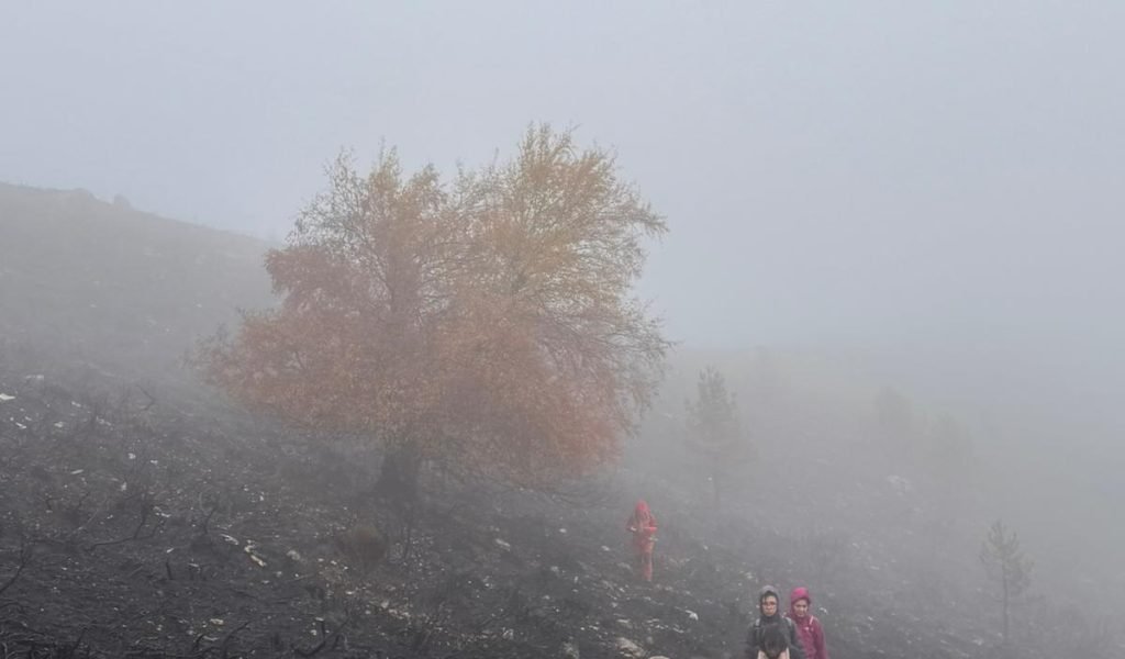 WhatsApp Image 2025-11-02 at 16.42.31 (1)